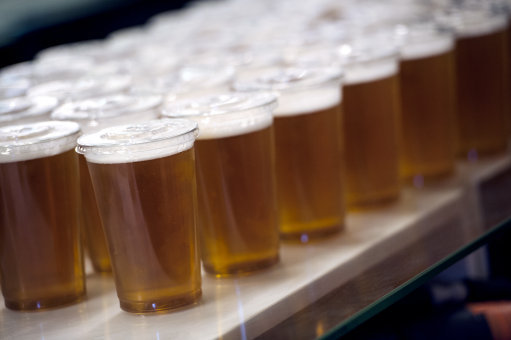 Pints of Lager are lined up waiting to be served to fans